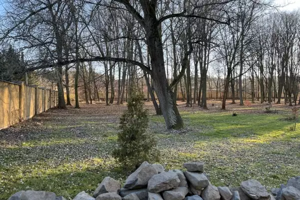 Castle park