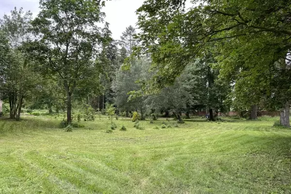 Castle park