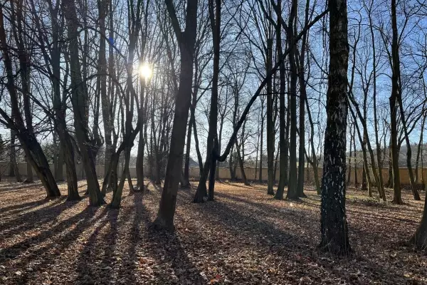 Castle park