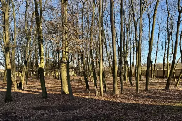 Castle park
